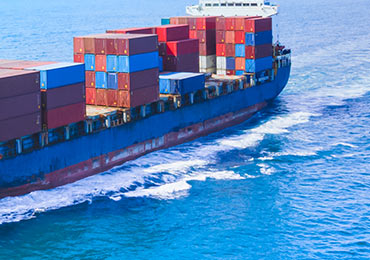 https://www.flowtrack-cms.mnsithub.com/powerful-logistic-platform